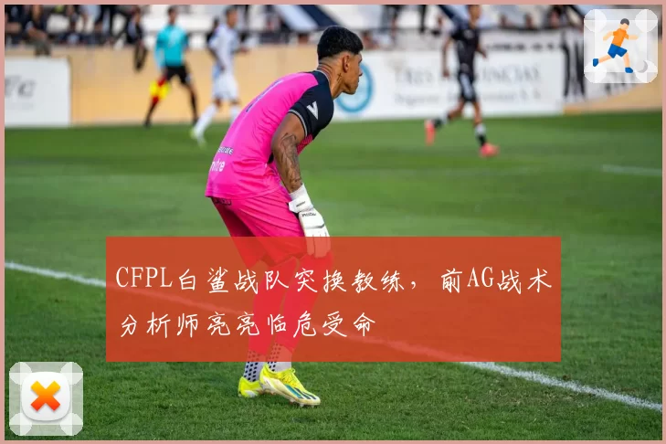 CFPL白鲨战队突换教练，前AG战术分析师亮亮临危受命
