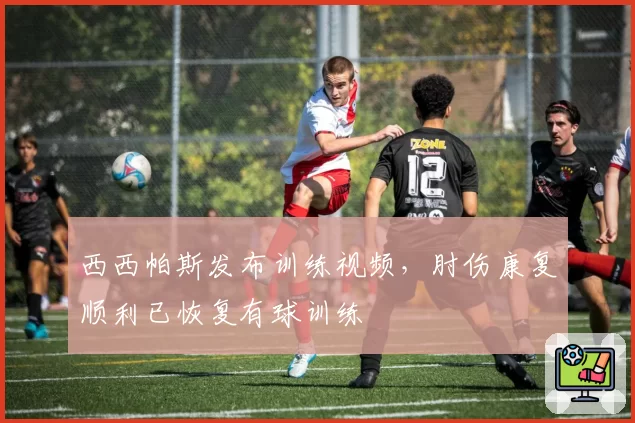 西西帕斯发布训练视频，肘伤康复顺利已恢复有球训练