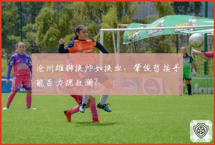 沧州雄狮换帅如换血,肇俊哲接手能否力挽狂澜?
