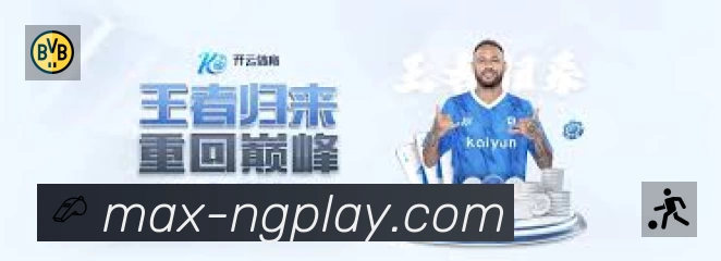 NG体育App 功能展示